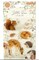 Craft Consortium Little Fawn & Friends - Stamp Set - Little Fawn